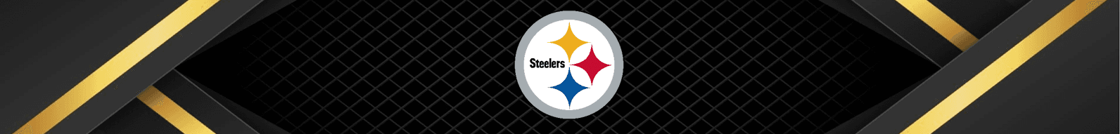 Pittsburgh Steelers Banner